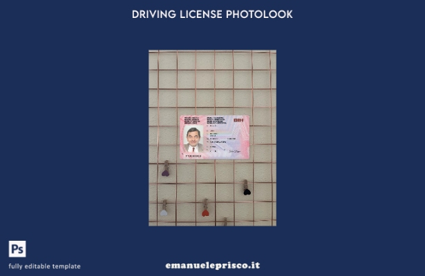 modello anteriore photolook versione patente di guida bosnia erzegovina stile ve